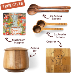 Cocoa Free Gift Bundle